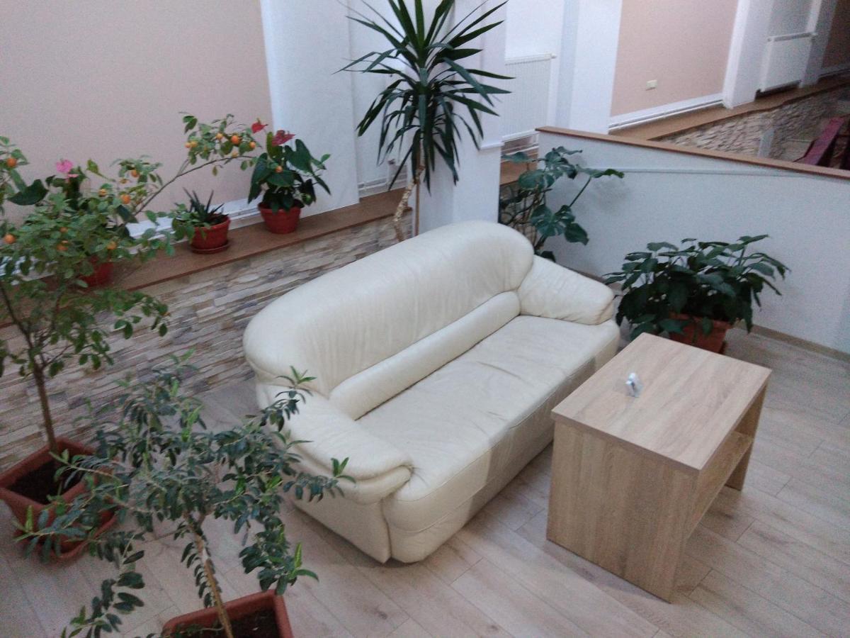 Pensiunea Casa Rusu Baia Mare Exterior foto